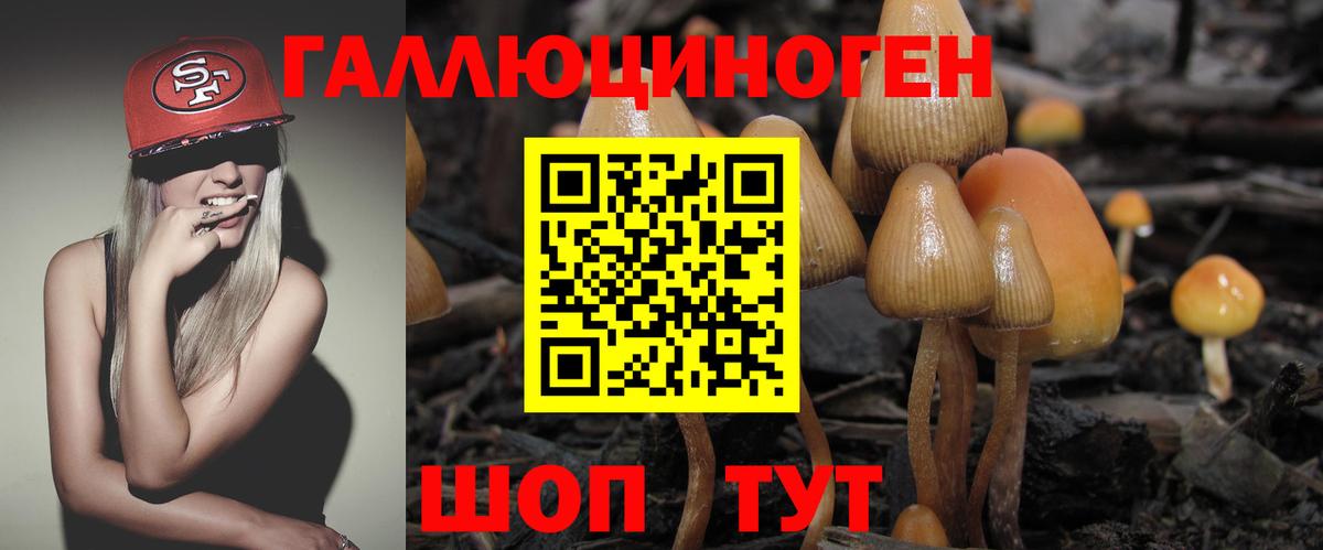 Галлюциногенные грибы Magic Shrooms Пугачёв